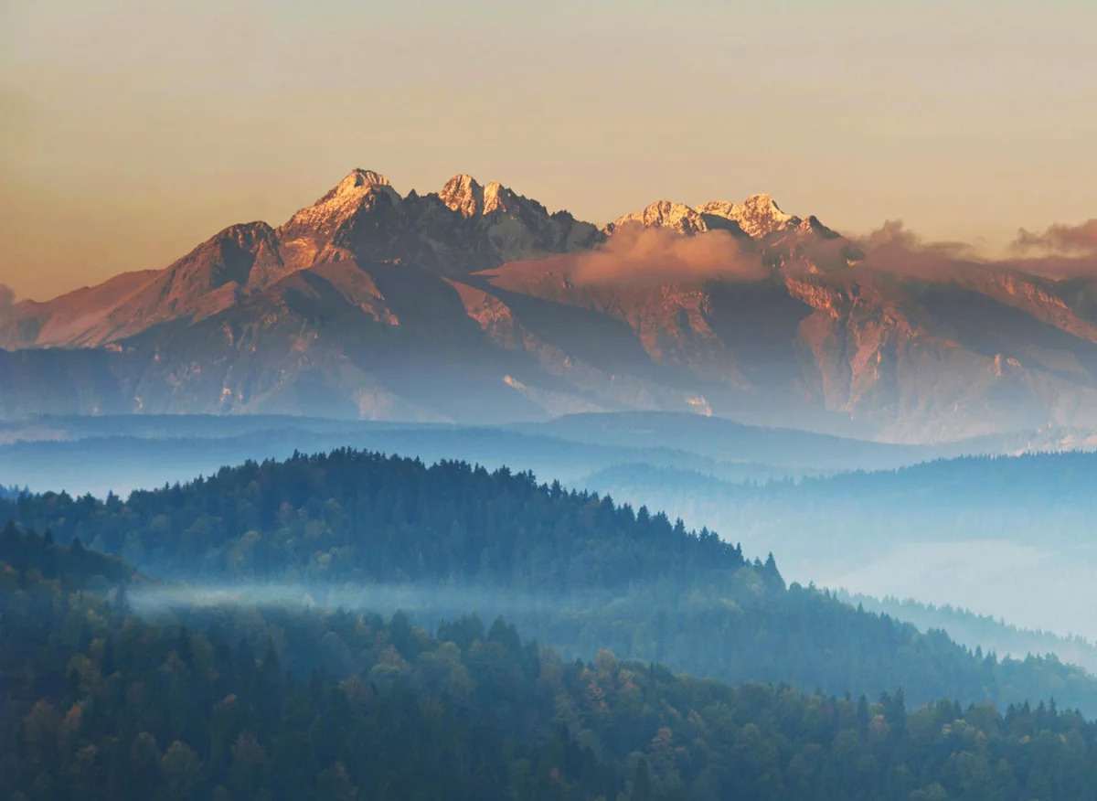 Dobrej jakości kawa