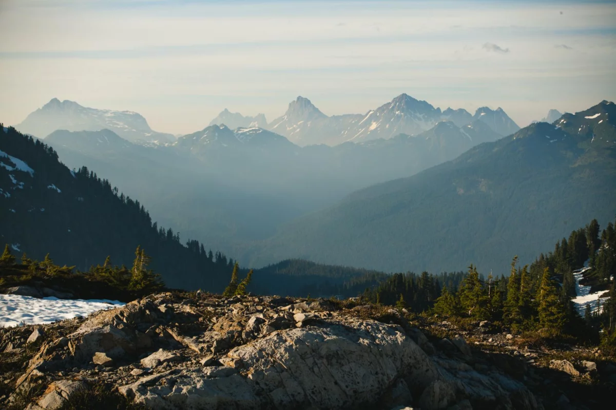 Co dają panele fotowoltaiczne